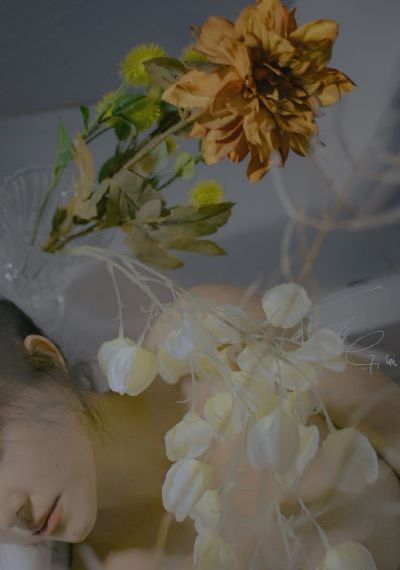 女女同性女同区二区三区在线观看_成长在线视频免费观看